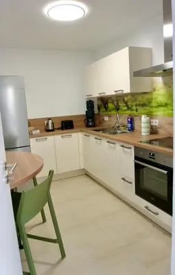 Küche/Küchenzeile in der Unterkunft Ferienwohnung Sonnenschein