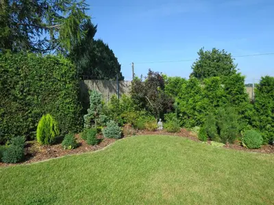 Ein Garten an der Unterkunft Pension zum Wiesengrund