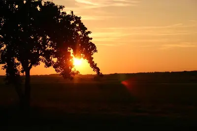 Blick auf den Sonnenuntergang/Sonnenaufgang von der Ferienwohnung aus oder aus der Nähe