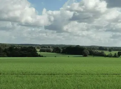 Naturlandschaft in der Nähe des Ferienhauses