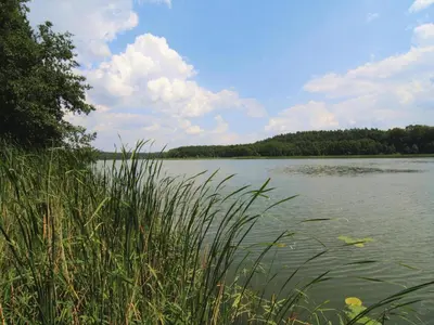 Naturlandschaft in der Nähe des Ferienhauses