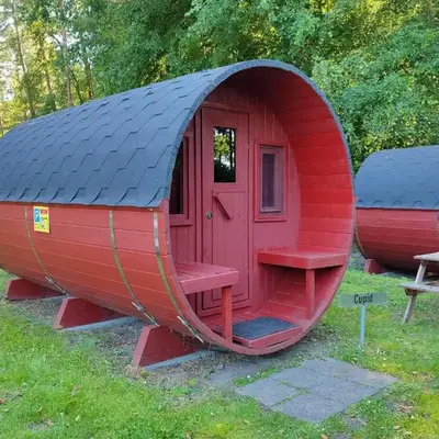 TinyHouse 