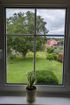 Ein Garten an der Unterkunft FeWo Ertel