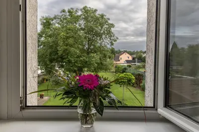 Ein Garten an der Unterkunft FeWo Ertel