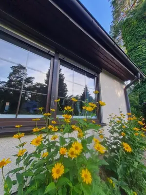 Ein Garten an der Unterkunft DAS kleine Haus