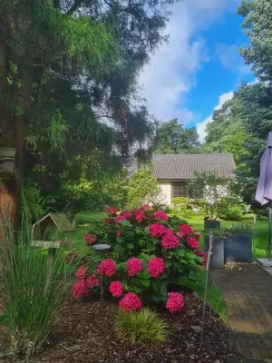 Ein Garten an der Unterkunft DAS kleine Haus