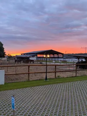 Blick auf den Sonnenuntergang/Sonnenaufgang von der Ferienwohnung aus oder aus der Nähe