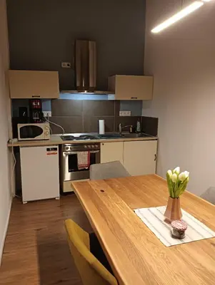 Küche/Küchenzeile in der Unterkunft Studio Apartments Alfred