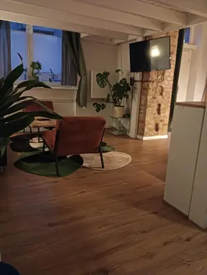 TV/Unterhaltungsangebot in der Unterkunft Studio Apartments Alfred