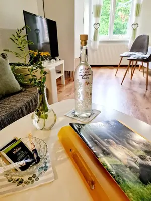 TV/Unterhaltungsangebot in der Unterkunft Pension im Gesundbrunnental Bad Freienwalde