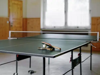Tischtennis in der Unterkunft Elite-Ferienhaus mit Garten in Spreenhage oder in der Nähe
