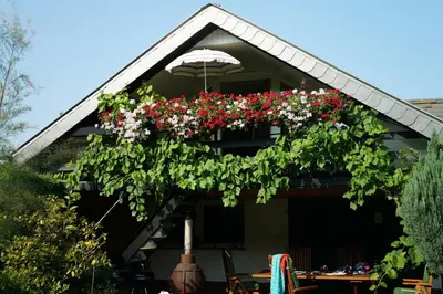 Ein Garten an der Unterkunft Ferienwohnung Am Fenn