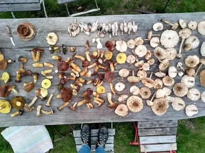 Essen in der Ferienwohnung oder in der Nähe