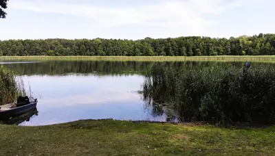 Naturlandschaft in der Nähe der Ferienwohnung