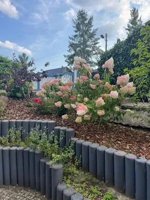 Ein Garten an der Unterkunft Wohlfühloase Berlin Mahlsdorf
