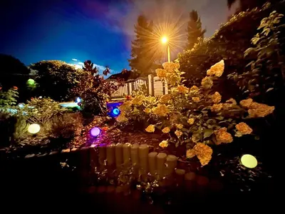 Ein Garten an der Unterkunft Wohlfühloase Berlin Mahlsdorf