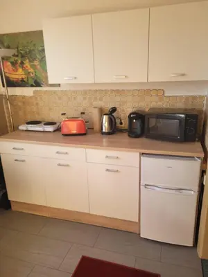 Küche/Küchenzeile in der Unterkunft Gemütliche Wohnung mit Garten