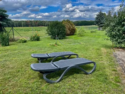 Ein Garten an der Unterkunft Hof zum alten Birnbaum