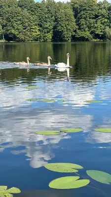 Blick auf einen Fluss in der Nähe des Ferienhauses