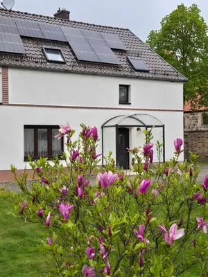 Ein Garten an der Unterkunft Am Storchennest