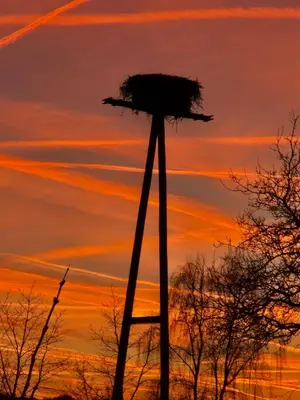Blick auf den Sonnenuntergang/Sonnenaufgang von der Ferienwohnung aus oder aus der Nähe