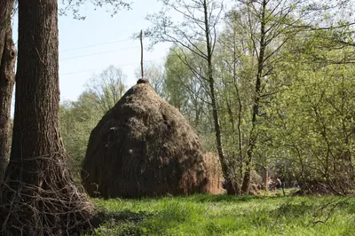 Naturlandschaft in der Nähe der Ferienwohnung