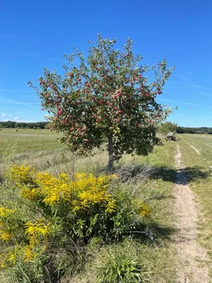 Naturlandschaft in der Nähe des Ferienhauses