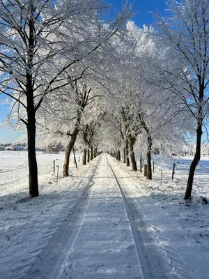 Landgut Ziegler im Winter