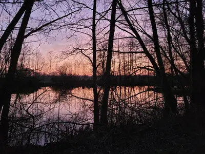Naturlandschaft in der Nähe der Ferienwohnung