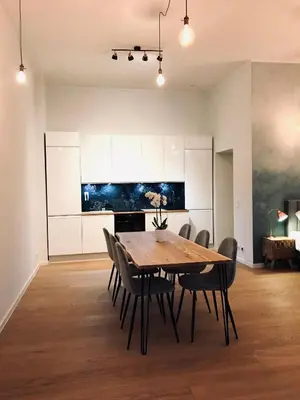 TV/Unterhaltungsangebot in der Unterkunft Designer open plan apartment Friedrichshain