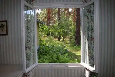 Ein Garten an der Unterkunft Liebenswertes Sommerhaus in Seenähe