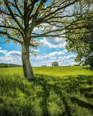 Naturlandschaft in der Nähe des Ferienhauses