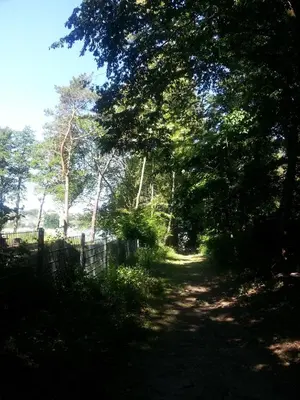 Naturlandschaft in der Nähe des Ferienhauses