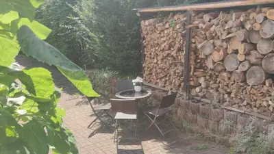 Ein Garten an der Unterkunft Ferienwohnung, Apartment, Pension - Berlin Neuenhagen