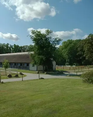 Naturlandschaft in der Nähe der Pension