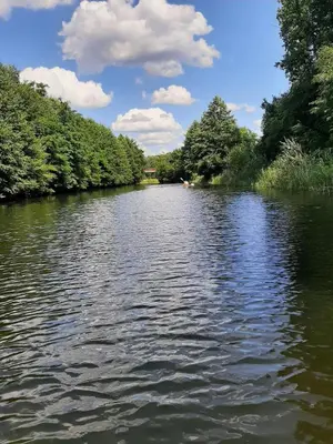 Naturlandschaft in der Nähe der Ferienwohnung