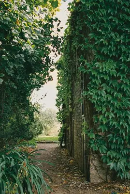 Ein Garten an der Unterkunft Im Scheunhornweg