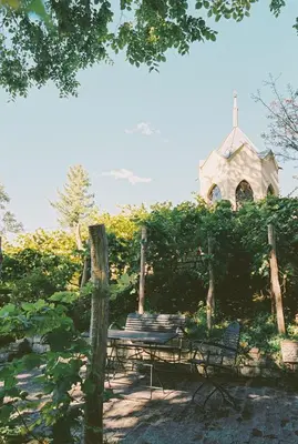 Ein Garten an der Unterkunft Am Mühlenberg