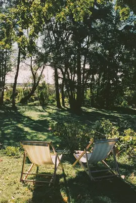 Ein Garten an der Unterkunft Am Mühlenberg