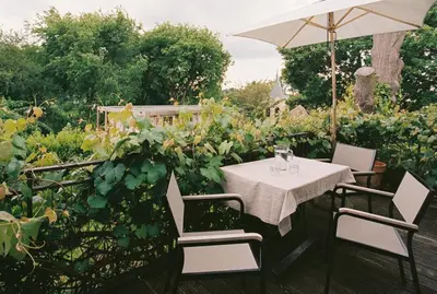 Ein Garten an der Unterkunft Am Mühlenberg