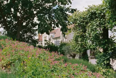 Ein Garten an der Unterkunft Am Mühlenberg