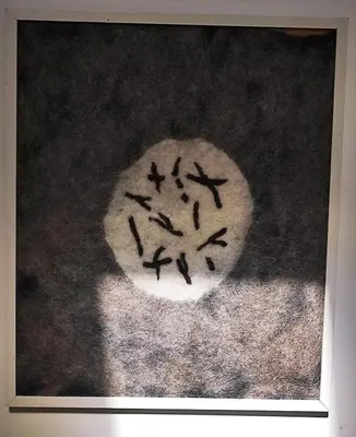 Grundriss der Unterkunft Ferienwohnung auf dem Künstlerhof