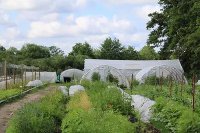 Ein Garten an der Unterkunft Glamping im beheizten Campingfass auf Leo's Farm