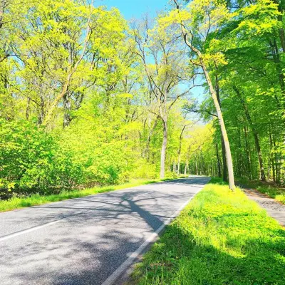 Naturlandschaft in der Nähe des Ferienhauses