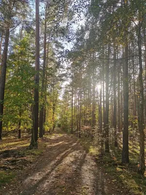 Naturlandschaft in der Nähe des Ferienhauses
