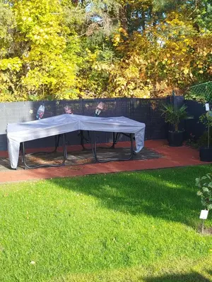 Ein Garten an der Unterkunft Rotes Haus