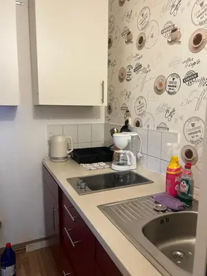 Küche/Küchenzeile in der Unterkunft Light-flooded 3-room apartment with balcony