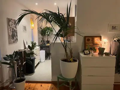 Küche/Küchenzeile in der Unterkunft Cozy Berlin Studio in Prenzlauer Berg