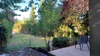 Ein Garten an der Unterkunft Ferienhaus - Ankerplatz am Werlsee, mit eigenem Bootssteg und Sauna