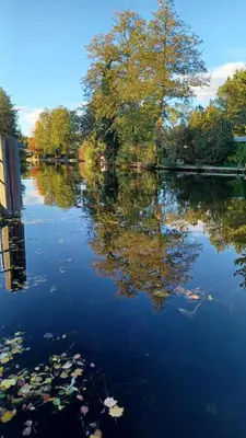 Naturlandschaft in der Nähe des Ferienhauses